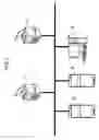 Fig. 02 - Image processing workflow with virtual plug-in