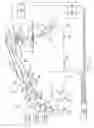 Fig. 19 - Method and apparatus for recording holographic stereograms elements using replacable elements
