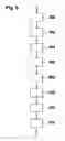 Fig. 06 - Micromechanical component having a swiveling part and method for producing same