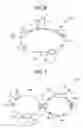 Fig. 05 - Optical fiber for optical amplification, optical fiber amplifier, and optical fiber laser