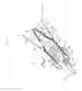 Fig. 08 - Magnetic head slider locking apparatus