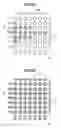 Fig. 06 - Information recording apparatus and method, information reproducing method and fade-in memory, with summary information corresponding to plurality of information recording elements