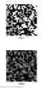Fig. 04 - Data page for use in a holographic data storage system