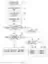 Fig. 13 - Communication path providing method and communication apparatus
