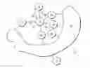 Fig. 01 - Rapid alternate paths for network destinations