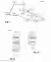 Fig. 02 - System and method for downlink channel sounding in wireless communications systems