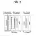 Fig. 04 - Method and apparatus of allocating control information in wireless communication system