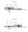 Fig. 14 - Communication system, communication device and communication method that can improve frequency use efficiency