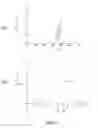 Fig. 07 - Source of femtosecond laser pulses