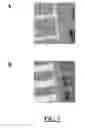 Fig. 07 - IMAGING ARRAY DATA ACQUISITION SYSTEM AND USE THEREOF