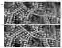 Fig. 01 - PRECISELY LOCATING FEATURES ON GEOSPATIAL IMAGERY