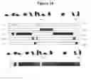 Fig. 17 - UNIFIED SYSTEM AND METHOD FOR ANIMAL BEHAVIOR CHARACTERIZATION WITH TRAINING CAPABILITIES