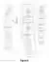 Fig. 09 - Apparatus and Method for Barcoded Magnetic Beads Analysis