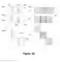 Fig. 16 - Apparatus and Method for Barcoded Magnetic Beads Analysis