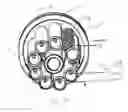Fig. 04 - Molecular heater and method of heating fluids