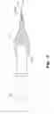 Fig. 04 - Writing/marking implement holder