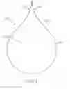 Fig. 02 - Toothpaste droplets