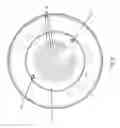 Fig. 04 - Front Pull-Out Hydraulics For Pumps