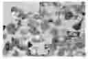 Fig. 01 - High purity silicon-containing products and method of manufacture