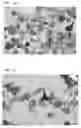 Fig. 19 - High purity silicon-containing products and method of manufacture