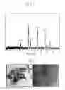 Fig. 06 - METHOD FOR SELECTIVELY STORING GAS BY CONTROLLING GAS STORAGE SPACE OF GAS STORAGE MEDIUM