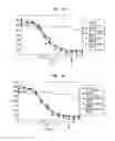 Fig. 03 - Proteins with high immunoreactivity and method for their production