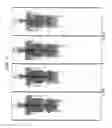 Fig. 09 - Proteins with high immunoreactivity and method for their production