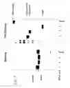 Fig. 08 - Methods for generating stably linked complexes composed of homodimers, homotetramers or dimers of dimers and uses
