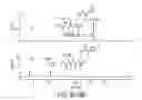 Fig. 06 - Process for production of heterodimers of glutamic acid