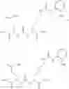 Fig. 22 - Process for production of heterodimers of glutamic acid