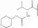 Fig. 506 - Hepatitis C virus inhibitors