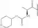 Fig. 816 - Hepatitis C virus inhibitors