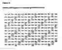 Fig. 07 - HYPERGLYCOSYLATED POLYPEPTIDE VARIANTS AND METHODS OF USE