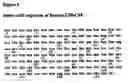 Fig. 09 - HYPERGLYCOSYLATED POLYPEPTIDE VARIANTS AND METHODS OF USE
