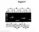 Fig. 06 - LACTOBACILLUS ACIDOPHILUS NUCLEIC ACIDS ENCODING FRUCTO-OLIGOSACCHARIDE UTILIZATION COMPOUNDS AND USES THEREOF