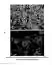 Fig. 12 - Device and method for preparing microparticles