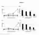 Fig. 05 - Methods for treating cancer with a recombinant MVA expressing HER-2