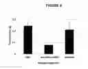 Fig. 07 - Methods for treating cancer with a recombinant MVA expressing HER-2