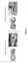 Fig. 08 - MUSCLE-DERIVED CELLS HAVING DIFFERENTIATION CAPACITIES