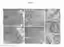 Fig. 08 - Methods and compositions for mitochondrial replacement therapy