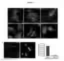 Fig. 12 - Methods and compositions for mitochondrial replacement therapy