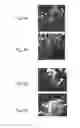 Fig. 04 - Methods of and compositions for inhibiting the proliferation of mammalian cells