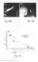 Fig. 07 - Methods of and compositions for inhibiting the proliferation of mammalian cells