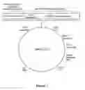 Fig. 04 - Recombinant elastase proteins and methods of manufacturing and use thereof