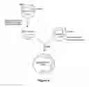 Fig. 09 - Recombinant elastase proteins and methods of manufacturing and use thereof