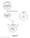 Fig. 16 - Recombinant elastase proteins and methods of manufacturing and use thereof