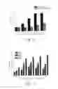 Fig. 06 - CHARCOALS