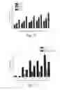 Fig. 07 - CHARCOALS