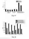 Fig. 20 - CHARCOALS
