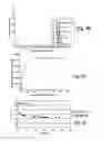 Fig. 21 - CHARCOALS